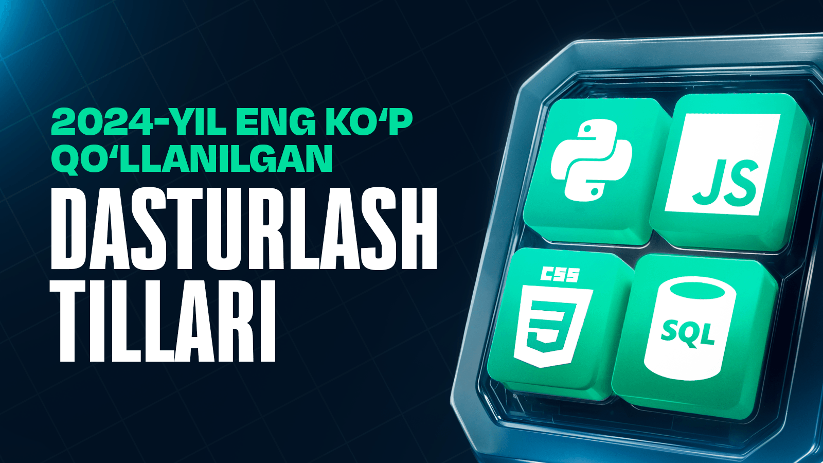 2024-yil eng ko‘p qo‘llanilgan dasturlash tillari